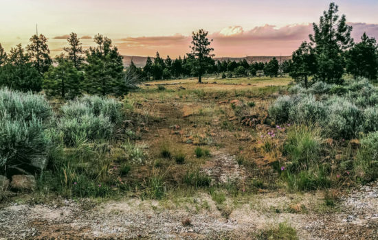 #11 | Find that Inspiration on this Near-Acre Lot near Modoc National Forest